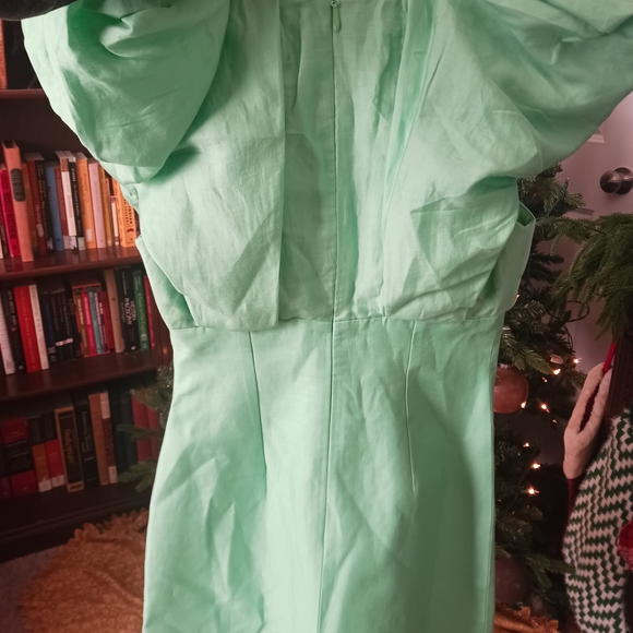 Acler Denare Mint Green Mini Dress - Picture 9 of 10